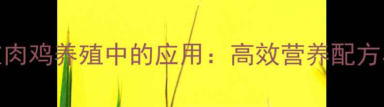 图片 青贮饲料在肉鸡养殖中的应用：高效营养配方与实操指南