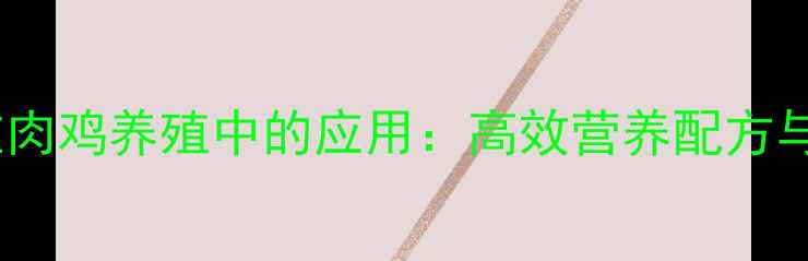 图片 青贮饲料在肉鸡养殖中的应用：高效营养配方与实操指南1
