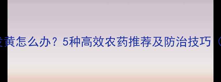 图片 韭菜叶片发黄怎么办？5种高效农药推荐及防治技巧（附配图）1