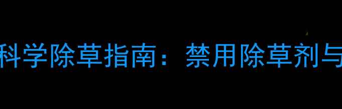 图片 韭菜幼苗期科学除草指南：禁用除草剂与替代方案全