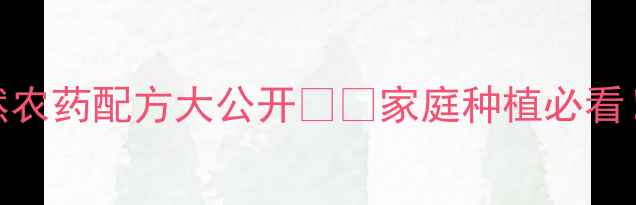 图片 韭菜红蜘蛛克星！天然农药配方大公开🌱🔥家庭种植必看！三招告别虫害不伤菜