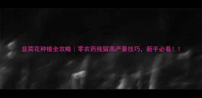图片 韭菜花种植全攻略｜零农药残留高产量技巧，新手必看！1