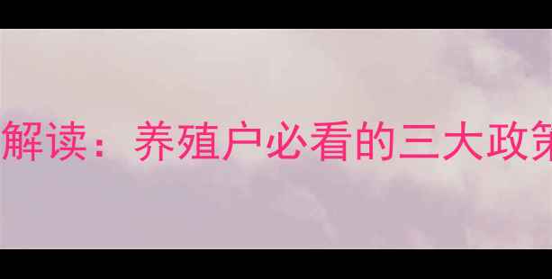 图片 饲料24号公告深度解读：养殖户必看的三大政策变化与应对策略2