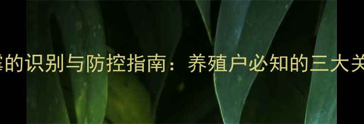 图片 饲料发霉的识别与防控指南：养殖户必知的三大关键措施2