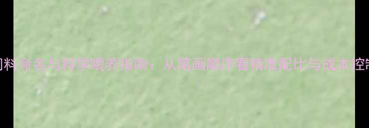 图片 饲料命名与科学喂养指南：从笔画顺序看精准配比与成本控制