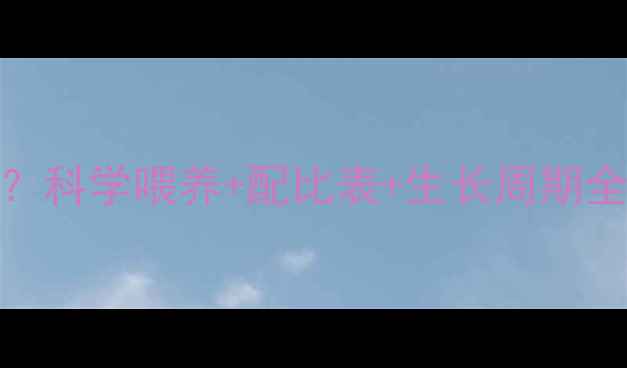 图片 饲料猪一年能长多大？科学喂养+配比表+生长周期全｜养殖户必看干货！