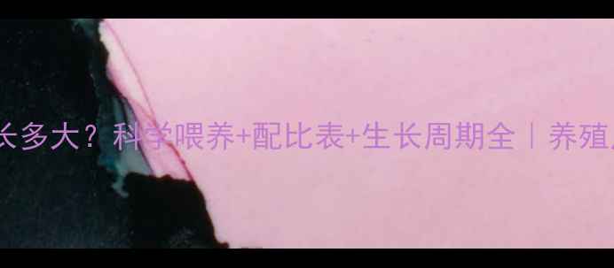 图片 饲料猪一年能长多大？科学喂养+配比表+生长周期全｜养殖户必看干货！1