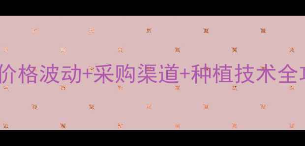 图片 饲料玉米价格波动+采购渠道+种植技术全攻略🌾📈1