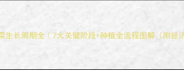 图片 饲料甜菜生长周期全｜7大关键阶段+种植全流程图解（附经济效益）