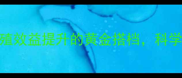 图片 饲料级三黄散：养殖效益提升的黄金搭档，科学配比与使用指南全