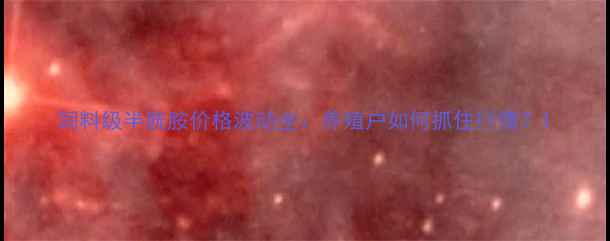 图片 饲料级半胱胺价格波动全：养殖户如何抓住行情？1