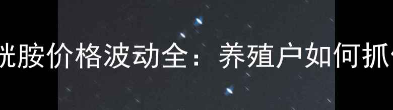 图片 饲料级半胱胺价格波动全：养殖户如何抓住行情？2