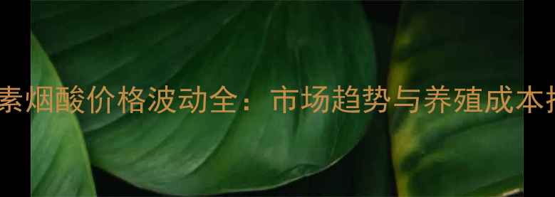 图片 饲料维生素烟酸价格波动全：市场趋势与养殖成本控制指南2