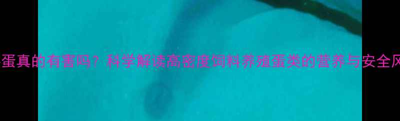 图片 饲料蛋真的有害吗？科学解读高密度饲料养殖蛋类的营养与安全风险2