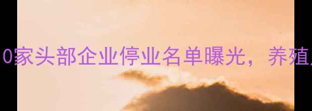 图片 饲料行业关闭潮持续！10家头部企业停业名单曝光，养殖户如何应对转型危机？1