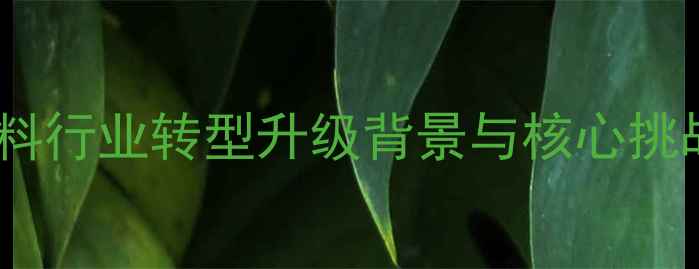 图片 饲料行业转型升级背景与核心挑战1
