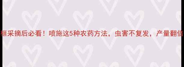 图片 香榧采摘后必看！喷施这5种农药方法，虫害不复发，产量翻倍🌰