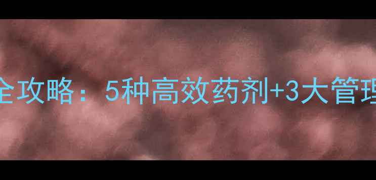 图片 香蕉烂头病农药防治全攻略：5种高效药剂+3大管理技巧，助您稳产增收