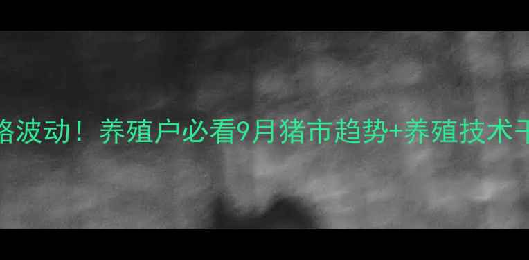 图片 驻马店最新毛猪价格波动！养殖户必看9月猪市趋势+养殖技术干货（附数据图表）