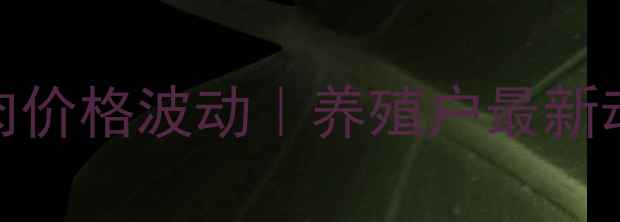 图片 高密市今日猪肉价格波动｜养殖户最新动态+选购指南1