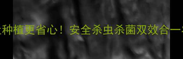 图片 高效农药推荐｜丰护1号让种植更省心！安全杀虫杀菌双效合一农业专家亲测好用的秘密2