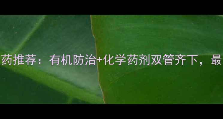 图片 高效治蜗牛农药推荐：有机防治+化学药剂双管齐下，最新防治技巧全