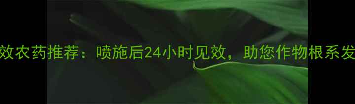图片 高效速效农药推荐：喷施后24小时见效，助您作物根系发达增产