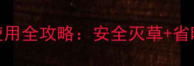 图片 高效除草剂推荐附灭除草剂使用全攻略：安全灭草+省时省力，新手也能轻松掌握！