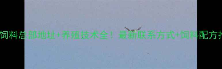 图片 鲁脉饲料总部地址+养殖技术全！最新联系方式+饲料配方推荐1