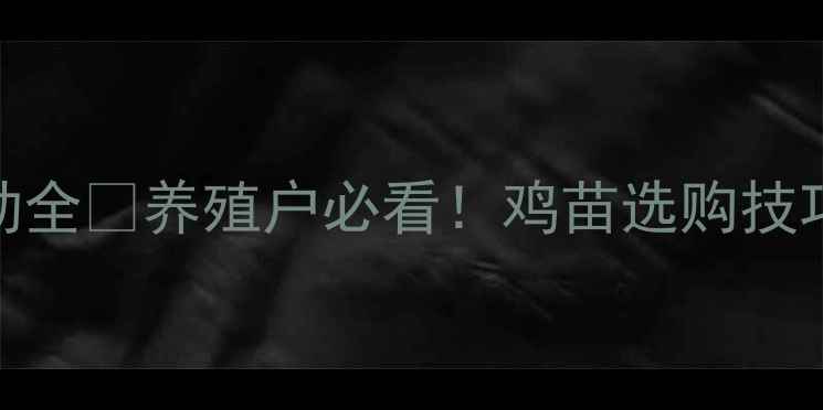 图片 鸡苗价格波动全🔥养殖户必看！鸡苗选购技巧+行情预测2