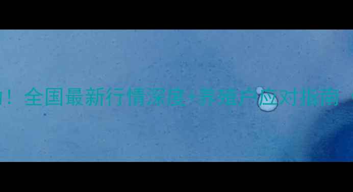 图片 鸡蛋价格剧烈波动！全国最新行情深度+养殖户应对指南（附价格走势图）2