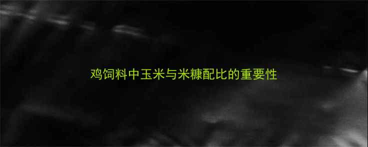 图片 鸡饲料中玉米与米糠配比的重要性