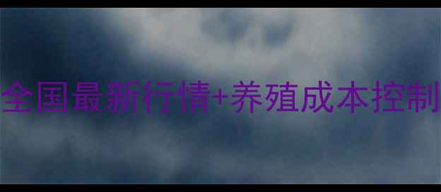 图片 鸡饲料价格波动全！全国最新行情+养殖成本控制技巧（附实时数据）