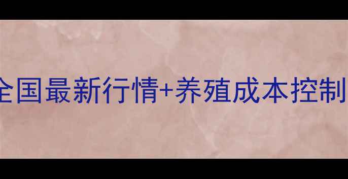 图片 鸡饲料价格波动全！全国最新行情+养殖成本控制技巧（附实时数据）1