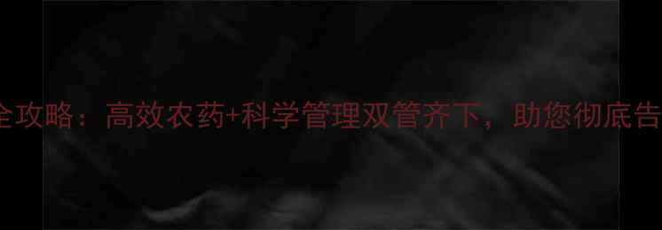 图片 鸭舌草根除全攻略：高效农药+科学管理双管齐下，助您彻底告别田间杂草2
