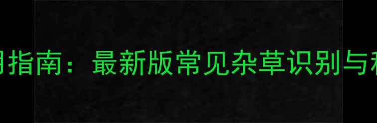 图片 麦田除草剂使用指南：最新版常见杂草识别与科学施药全攻略