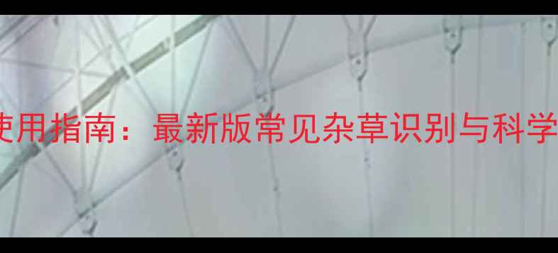 图片 麦田除草剂使用指南：最新版常见杂草识别与科学施药全攻略2