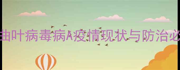 图片 黄化曲叶病毒病A疫情现状与防治必要性