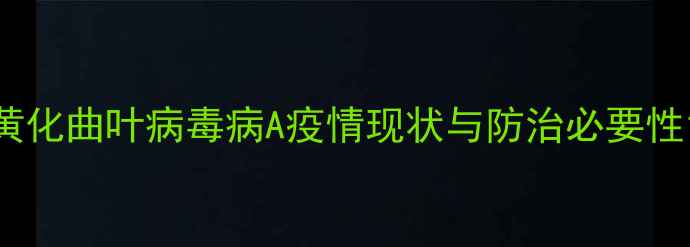 图片 黄化曲叶病毒病A疫情现状与防治必要性1