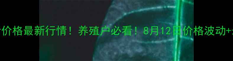图片 黑龙江省生猪价格最新行情！养殖户必看！8月12日价格波动+未来趋势预测