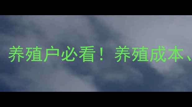图片 🌊清远海贝价格最新行情：养殖户必看！养殖成本、销售渠道、价格波动全🐚