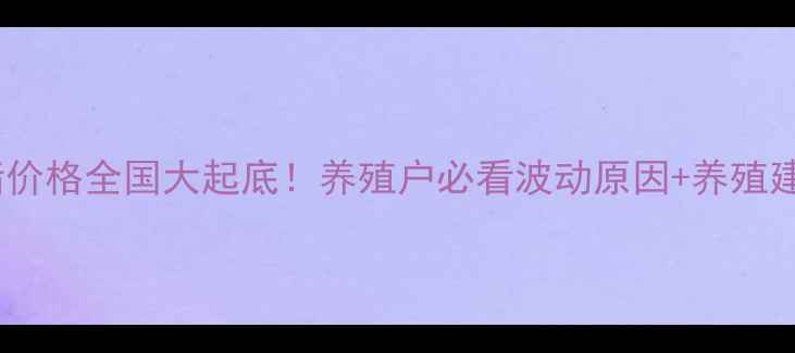 图片 🌟仔猪价格全国大起底！养殖户必看波动原因+养殖建议💡1
