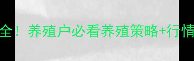图片 🌟全国生猪价格波动全！养殖户必看养殖策略+行情预测（附最新报价）
