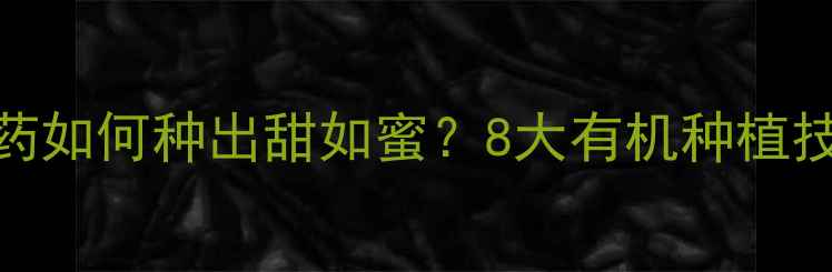 图片 🌟冬枣不打农药如何种出甜如蜜？8大有机种植技巧大公开！🌟