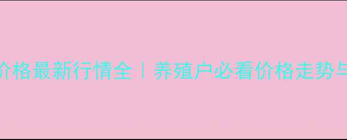 图片 🌟南阳大猪价格最新行情全｜养殖户必看价格走势与养殖指南🐷