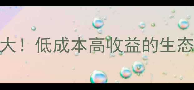 图片 🌟家禽养殖饲料配方大！低成本高收益的生态养殖法，新手必看🌟