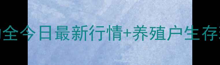 图片 🌟山西鸡蛋价格波动全今日最新行情+养殖户生存现状+消费趋势预测1