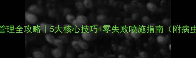 图片 🌟杏树春季管理全攻略｜5大核心技巧+零失败喷施指南（附病虫害识别图）
