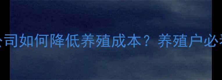 图片 🌟杭州鸭饲料公司如何降低养殖成本？养殖户必看技术指南！🌟