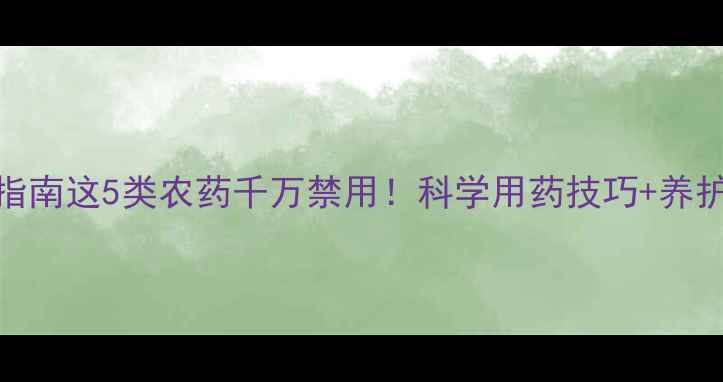 图片 🌟柿子树种植避坑指南这5类农药千万禁用！科学用药技巧+养护全攻略（附案例）